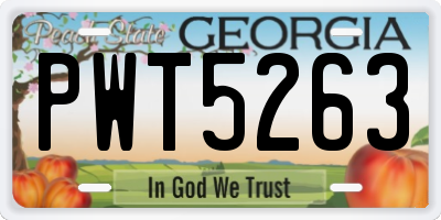 GA license plate PWT5263