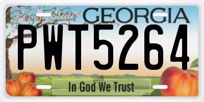 GA license plate PWT5264