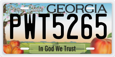 GA license plate PWT5265