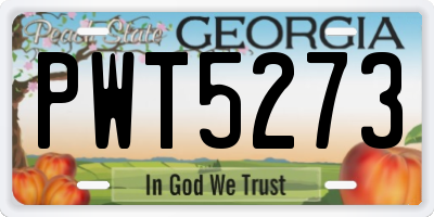 GA license plate PWT5273