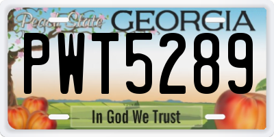 GA license plate PWT5289