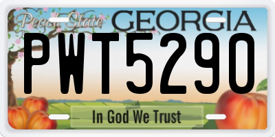 GA license plate PWT5290