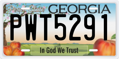 GA license plate PWT5291