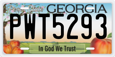 GA license plate PWT5293