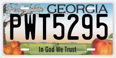 GA license plate PWT5295