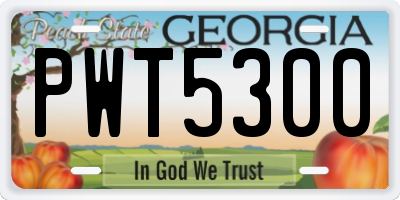 GA license plate PWT5300