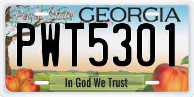 GA license plate PWT5301