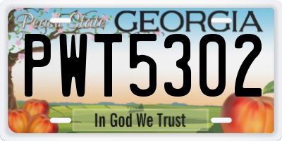 GA license plate PWT5302