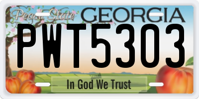 GA license plate PWT5303