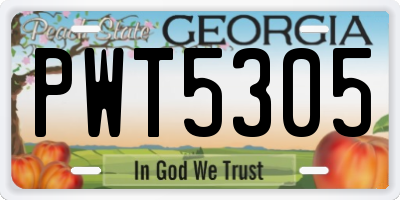 GA license plate PWT5305