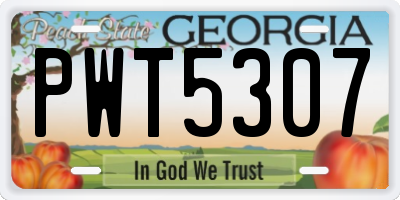 GA license plate PWT5307