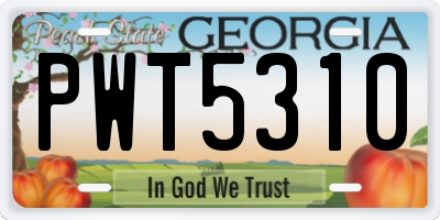 GA license plate PWT5310