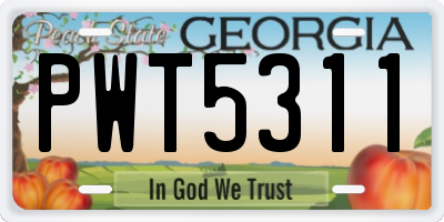 GA license plate PWT5311