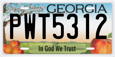 GA license plate PWT5312