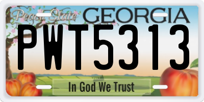 GA license plate PWT5313