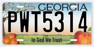 GA license plate PWT5314