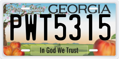 GA license plate PWT5315