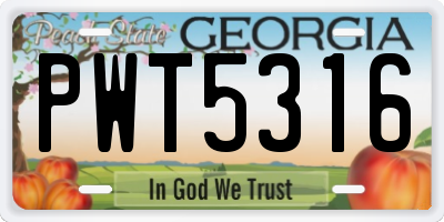 GA license plate PWT5316