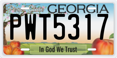 GA license plate PWT5317