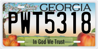 GA license plate PWT5318