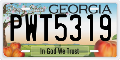 GA license plate PWT5319