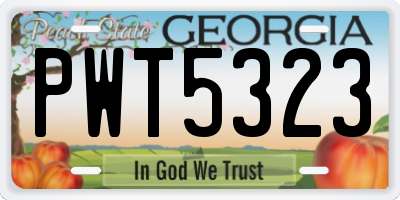 GA license plate PWT5323