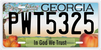GA license plate PWT5325