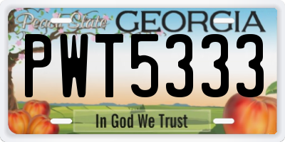 GA license plate PWT5333