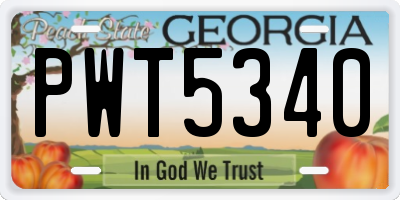 GA license plate PWT5340