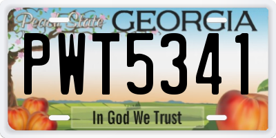GA license plate PWT5341