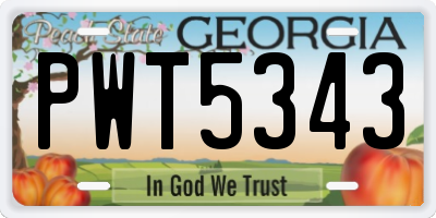 GA license plate PWT5343