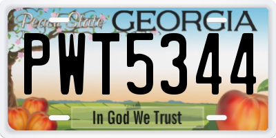 GA license plate PWT5344