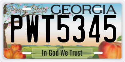 GA license plate PWT5345