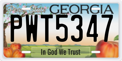 GA license plate PWT5347