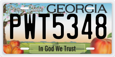 GA license plate PWT5348