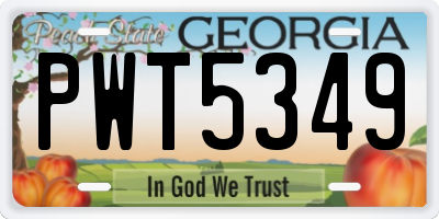 GA license plate PWT5349