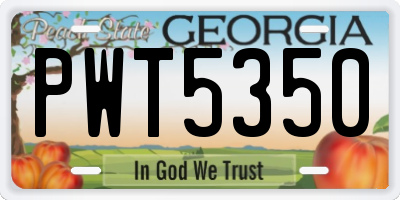GA license plate PWT5350