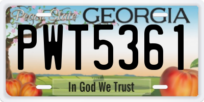 GA license plate PWT5361