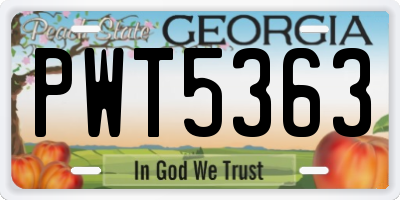 GA license plate PWT5363