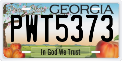 GA license plate PWT5373