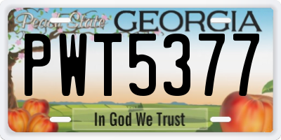 GA license plate PWT5377