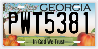 GA license plate PWT5381