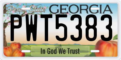 GA license plate PWT5383