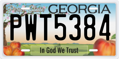 GA license plate PWT5384