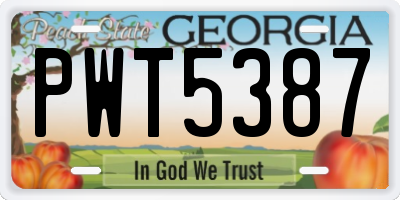 GA license plate PWT5387