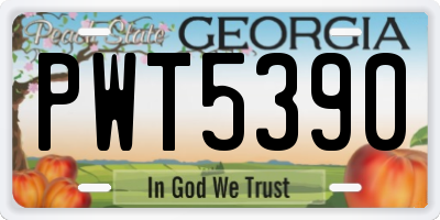 GA license plate PWT5390