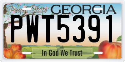 GA license plate PWT5391