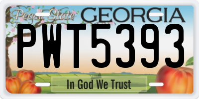 GA license plate PWT5393