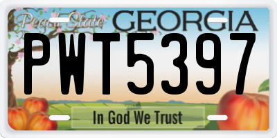 GA license plate PWT5397
