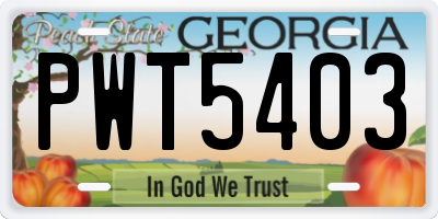 GA license plate PWT5403